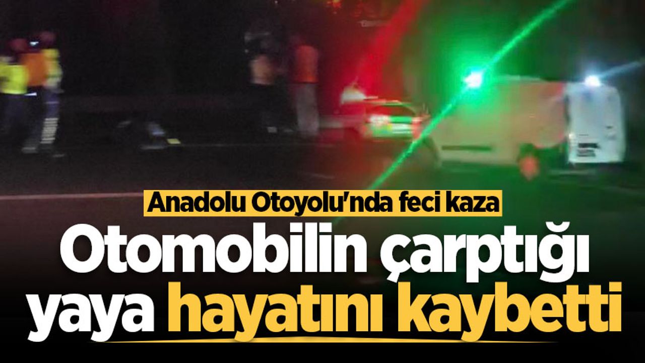 Anadolu Otoyolu'nda ölümcül kaza: Yaya, arabaya çarpıp hayatını kaybetti.