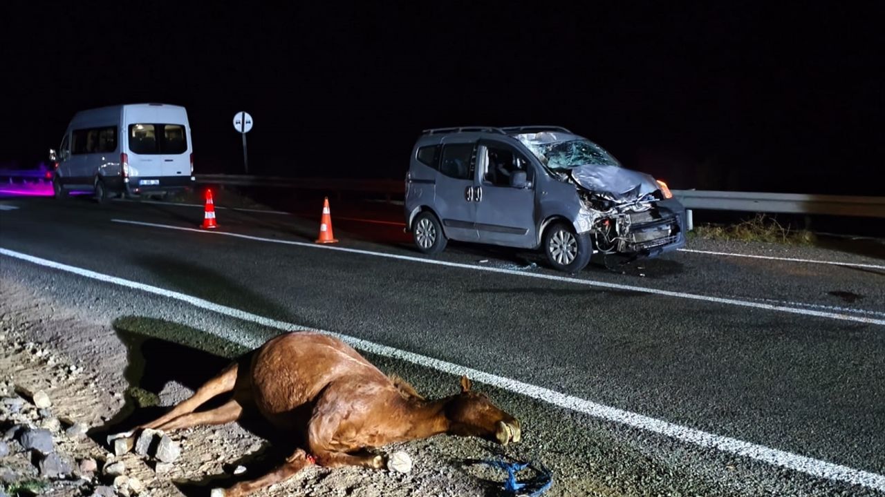 Kağızman, Kars'ta araç ile hayvanların çarpıştığı trafik kazasında 2 kişi ağır yaralandı.