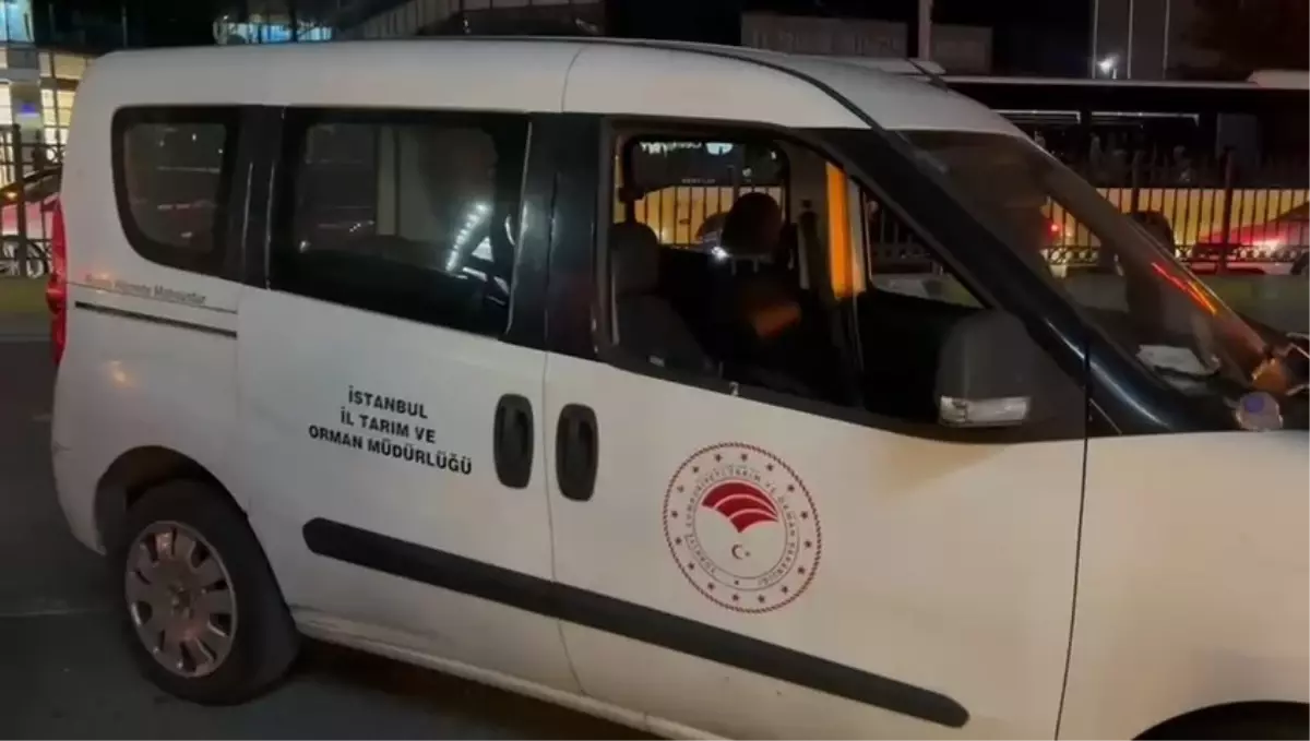 Elazığ'da Kaza: Bir Yaya Hayatını Kaybetti.