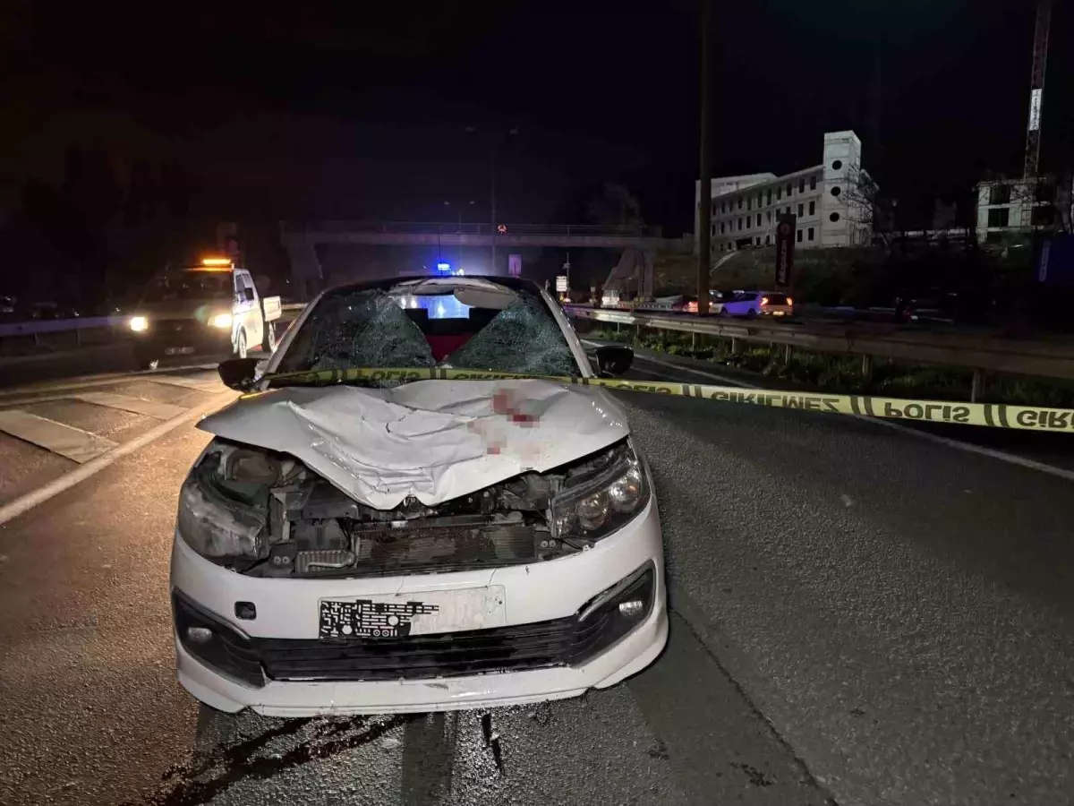 Sakarya'da gerçekleşen kaza sonucu 70 yaşındaki bir adam yaşamını yitirdi.