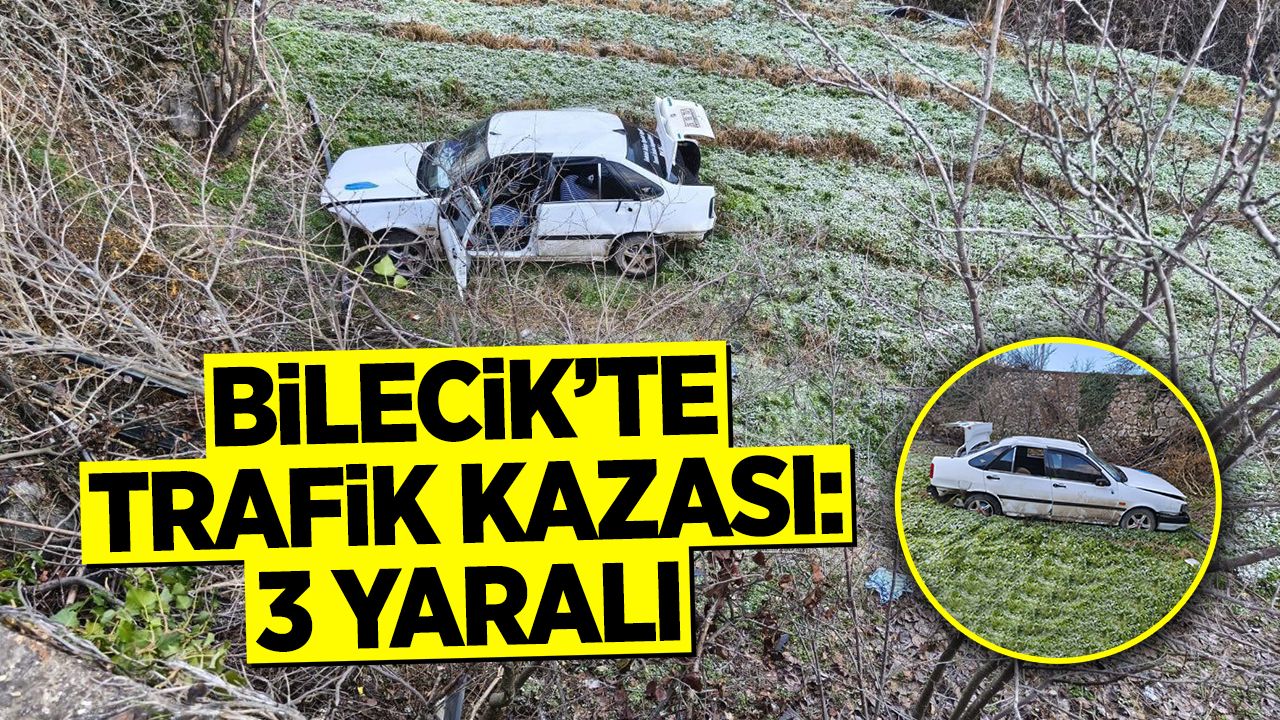 Bilecik'te trafik kazası sonucu 3 kişi yaralandı.