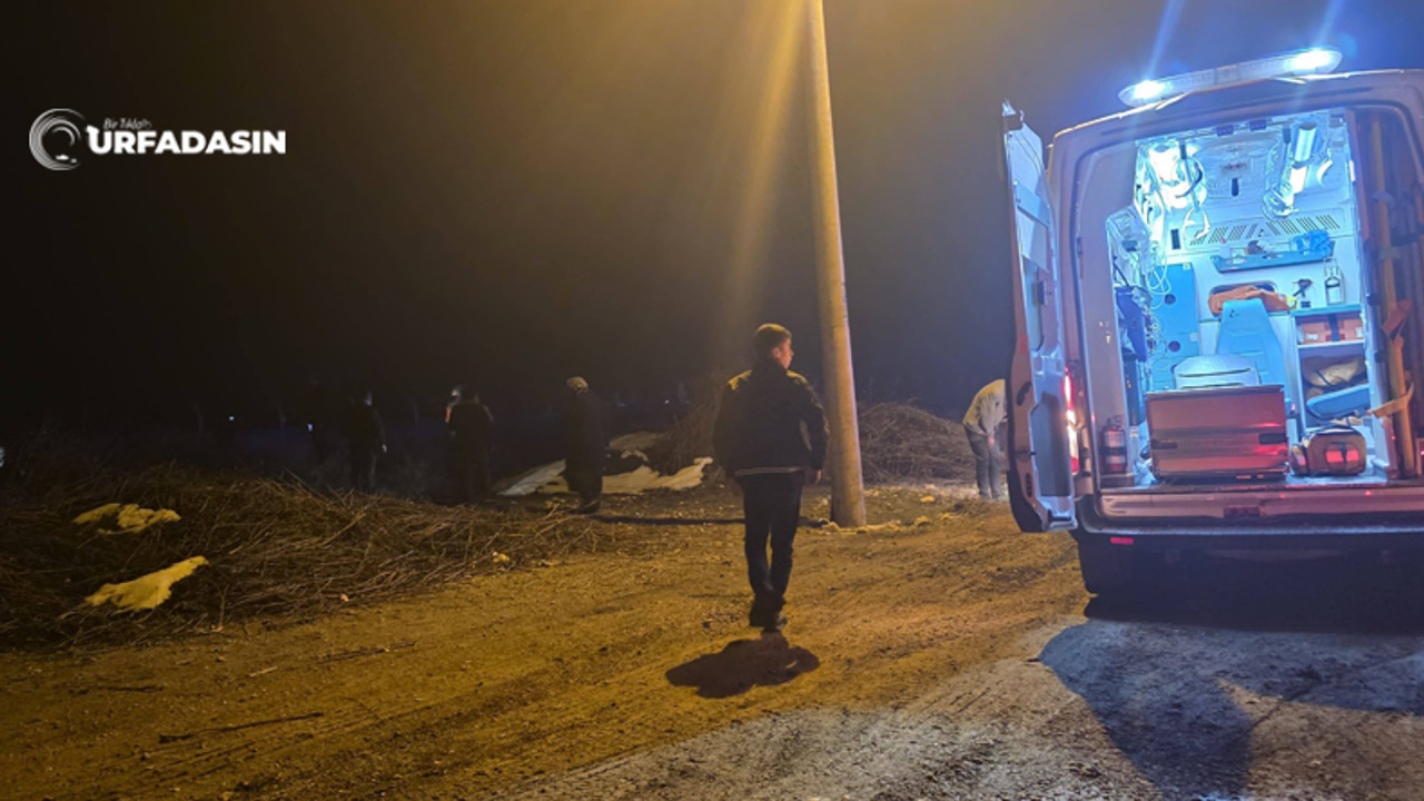Şanlıurfa'da Akçakale Yolunda Kaza: Yaralı Var