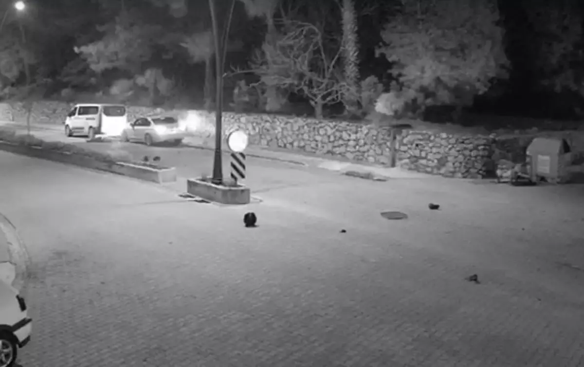 Marmaris'te Kaza: 2 Kişi Yaralandı.