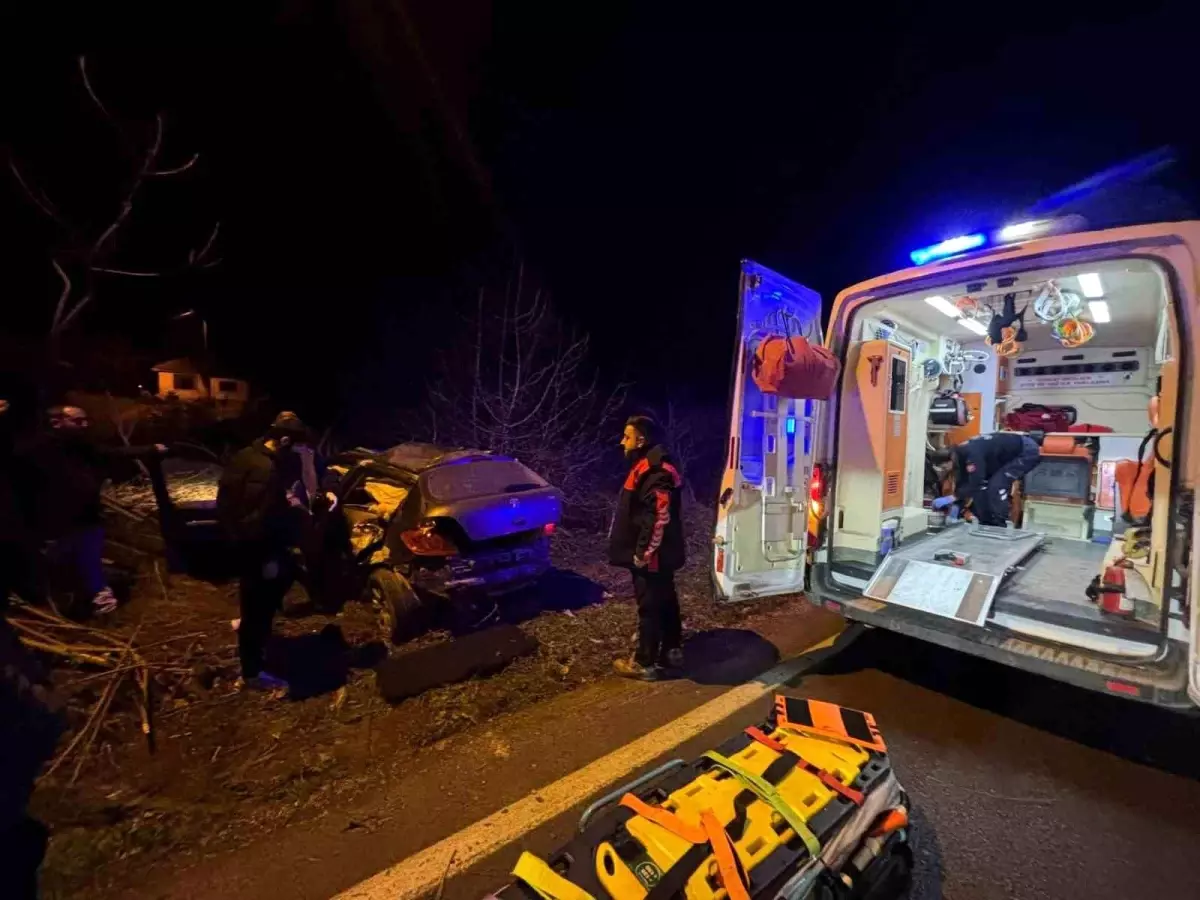Lüleburgaz'da trafik kazasında şoför yaralandı.