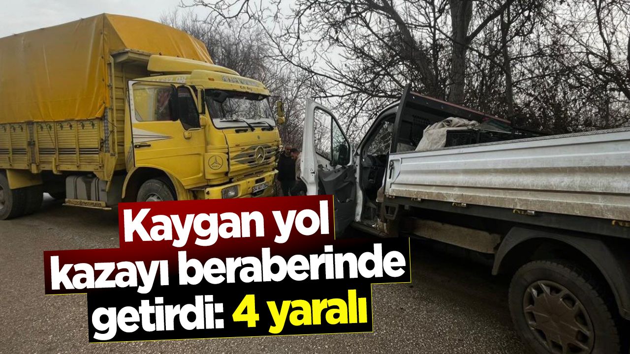 Bilecik'te trafik kazası sonucu 4 kişi yaralandı.