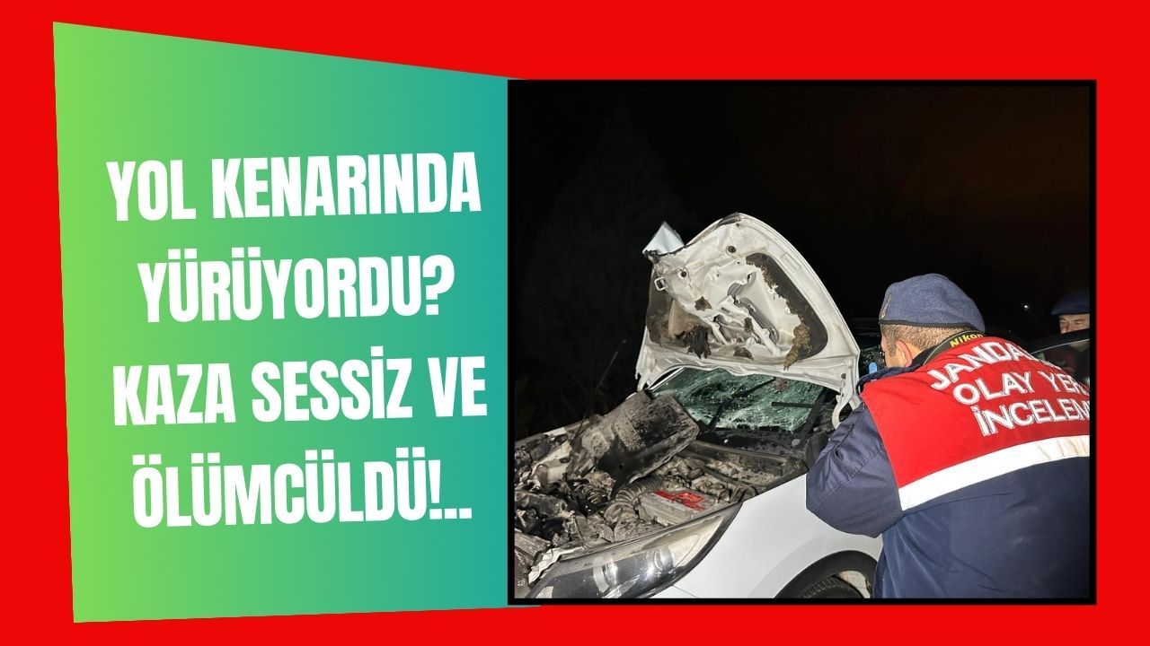 Yolda Yürürken Kaza Oldu... Ses Yok, Sessizlik Ölümcül...