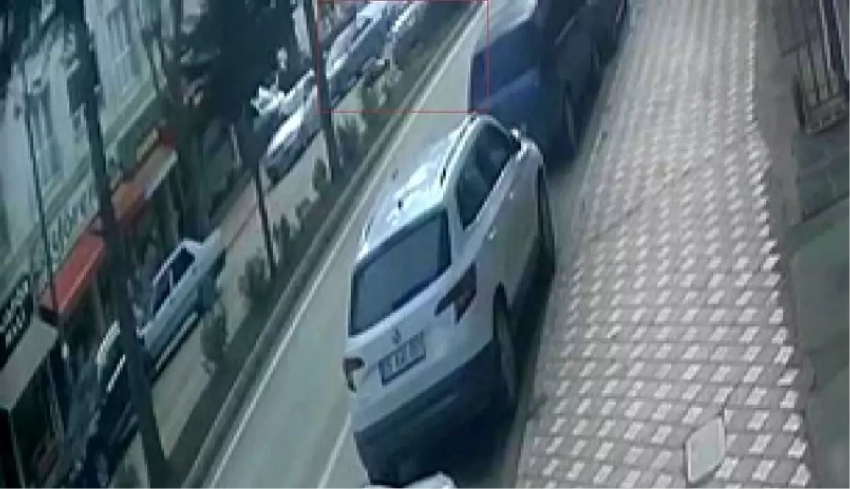 Amasya'da Yaya, Otomobil Çarpması Sonucu Yaralandı.