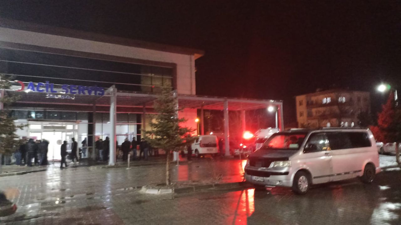 Trafik kazası kavgasında 2 kişi öldü!