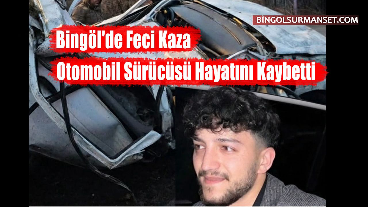 Bingöl'de Feci Kaza: Otomobil Sürücüsü Hayatını Kaybetti