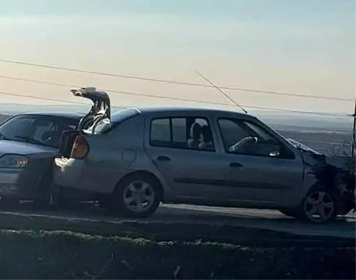 Kilis'te Trafik Kazası: Bir Sürücü Hayatını Kaybetti