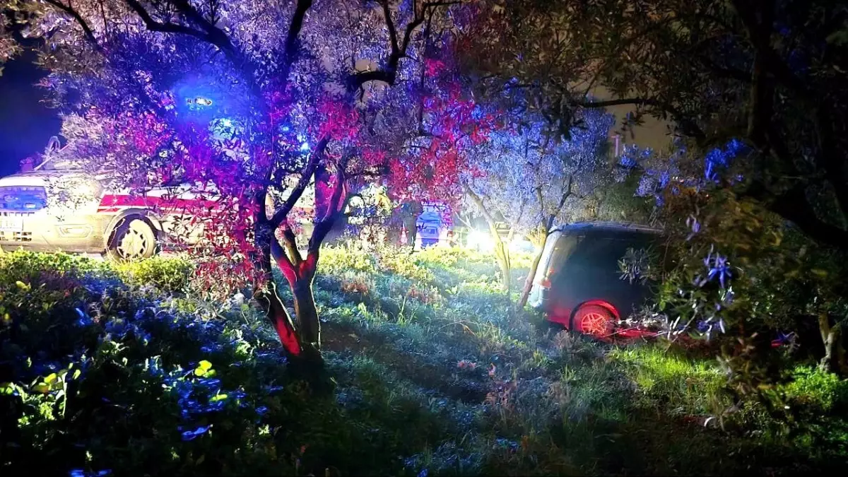Mudanya'da Trafik Kazası: Zeytinliğe Daldı