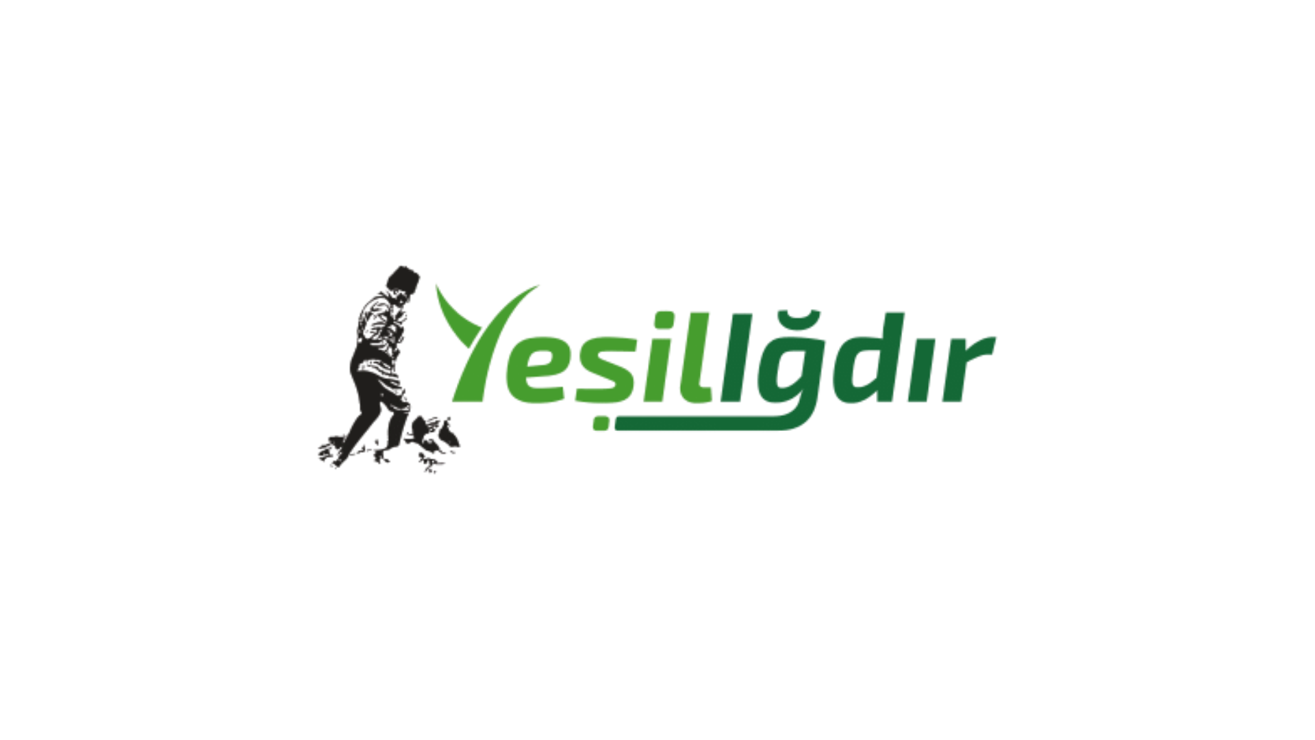 Otomobil elektrik direğine çarptı: 1 yaralı