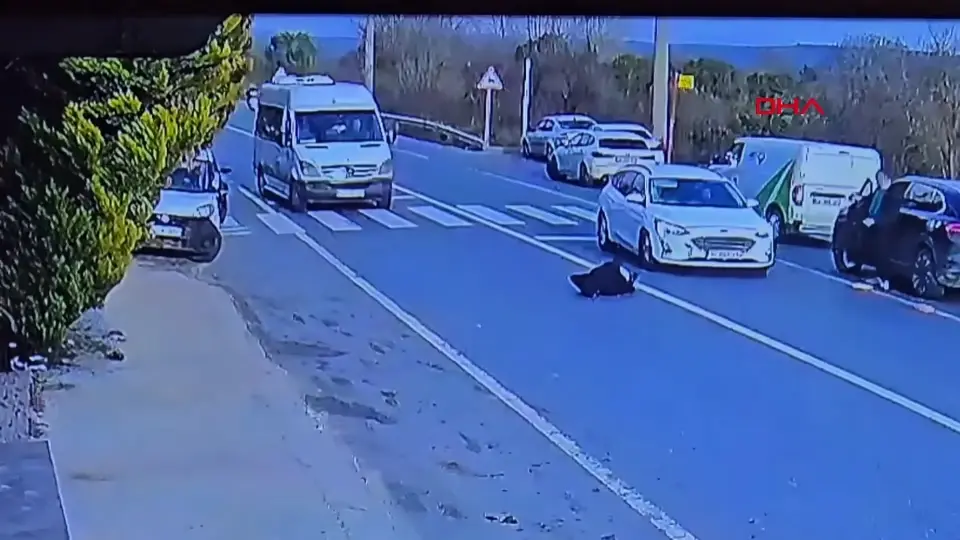 İstanbul Beykoz'da yaya geçidinde trafik kazası: Hatalı sollama kamerada