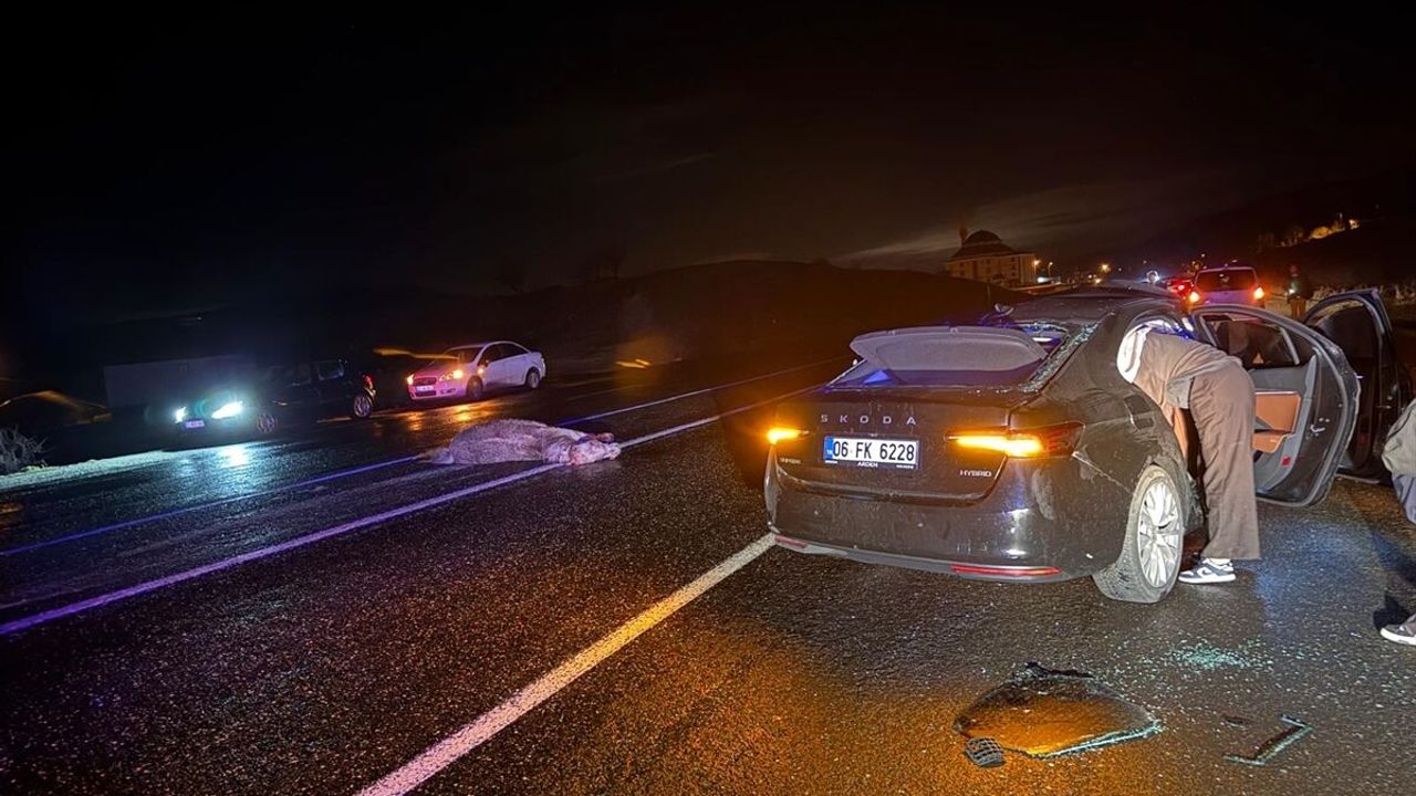 Bingöl'de arabanın ata çarptığı trafik kazasında 4 yaralı