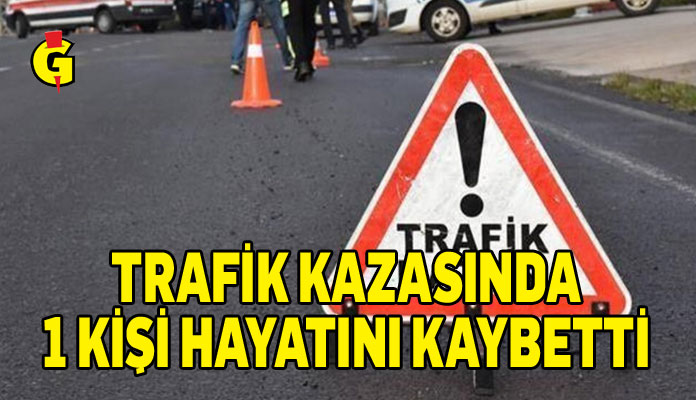 Pamuklu-Kumyalı Anayolu’nda Feci Kaza