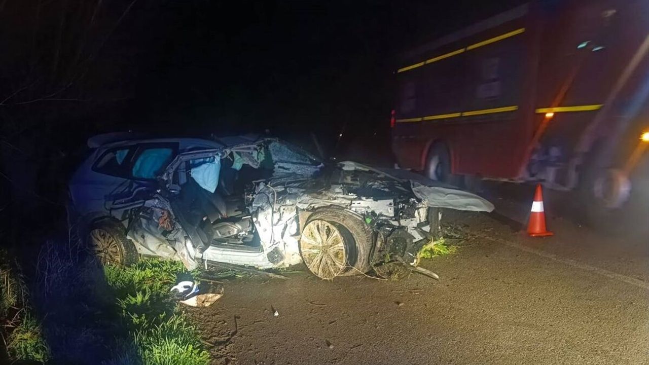 SON DAKİKA: Afyonkarahisar'daki trafik kazasında araç ağaca çarptı, 1 ölü 1 ağır yaralı