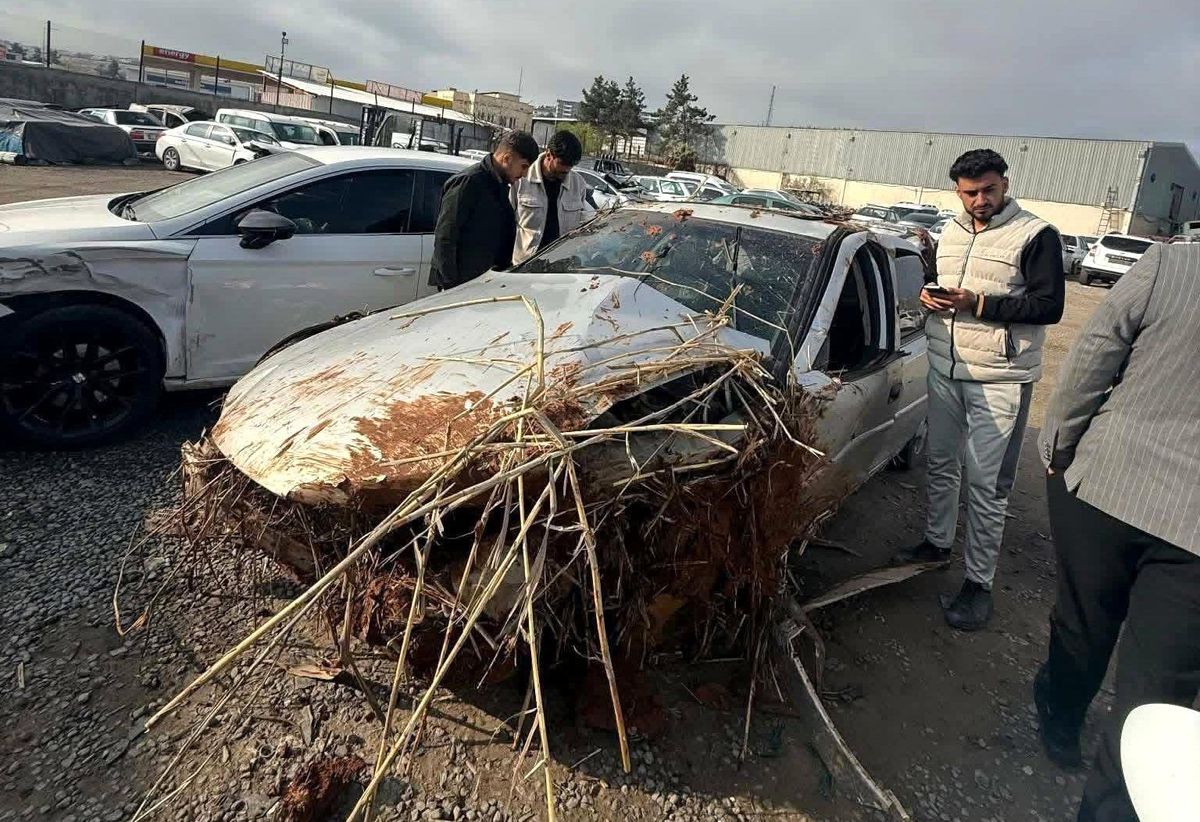 Akçakale'de trafik kazası: Sürücü hayatını kaybetti