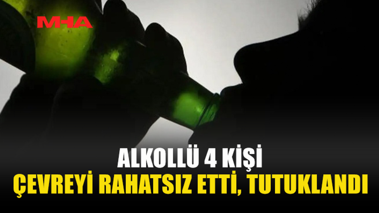 3 İLÇEDE ALKOLLÜ SÜRÜCÜLER KAZAYA NEDEN OLDU