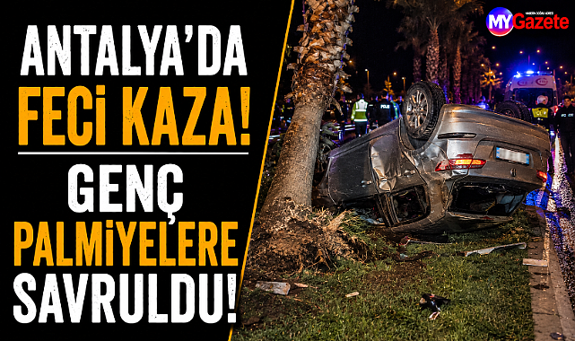 Antalya'da feci kaza! Genç refüjdeki palmiyeye savruldu