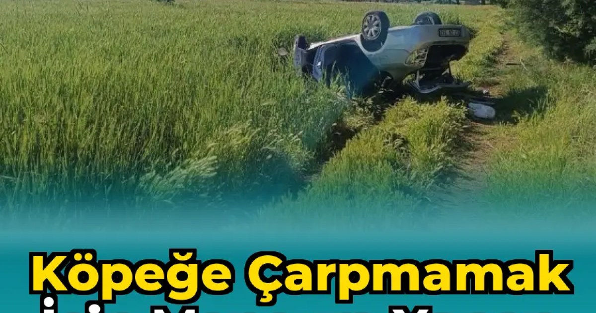 Köpeğe Çarpmamak İçin Manevra yapan Araç Takla Attı : 1 Ölü, 2 Yaralı