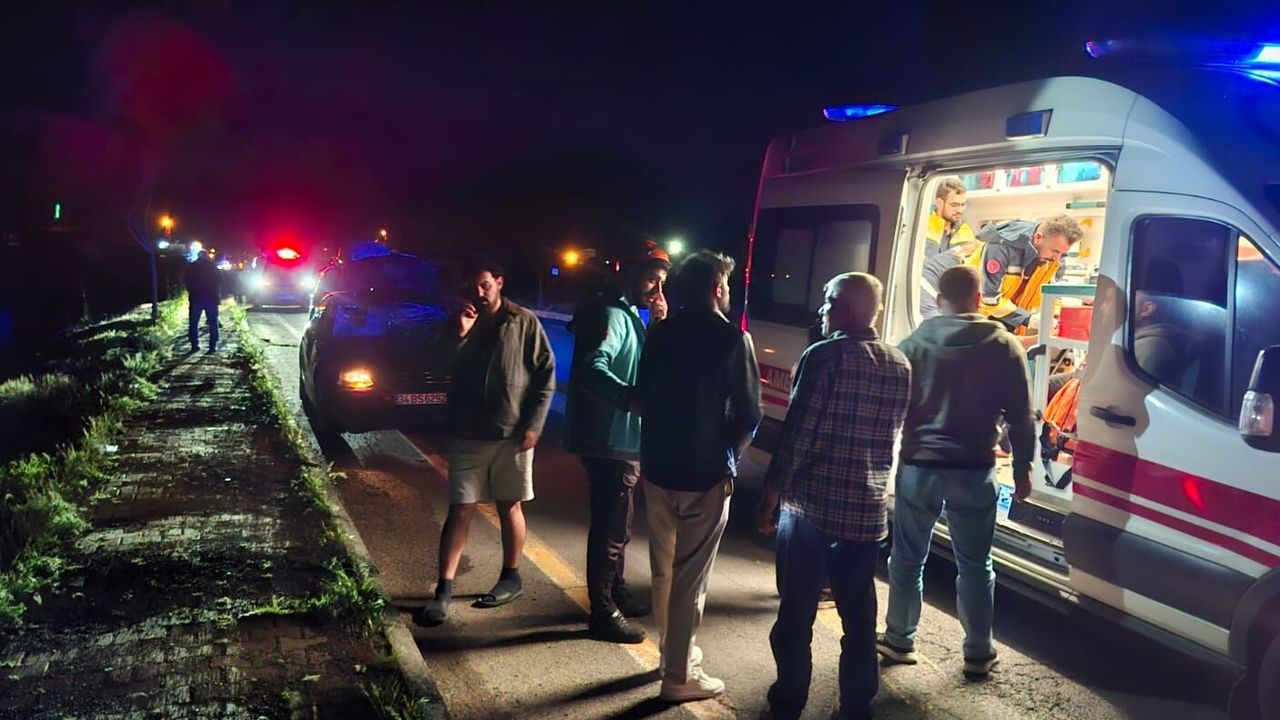 Bingöl trafik kazası: Yola çıkan büyükbaş hayvanlara çarpan 3 araçta 4 yaralı