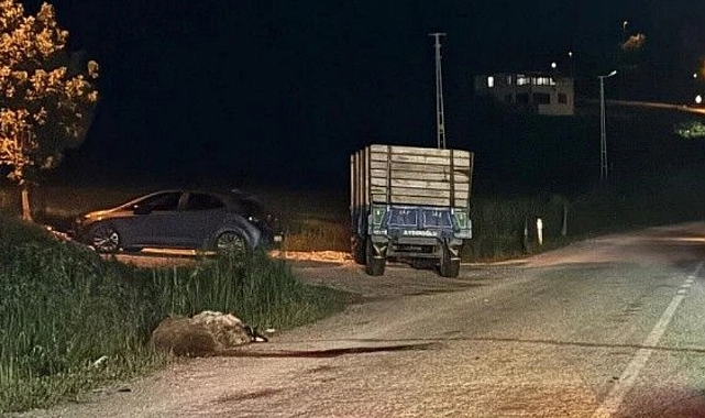 Niksar-Başçiftlik Yolunda Kaza: 5 Koyun Telef - YEREL