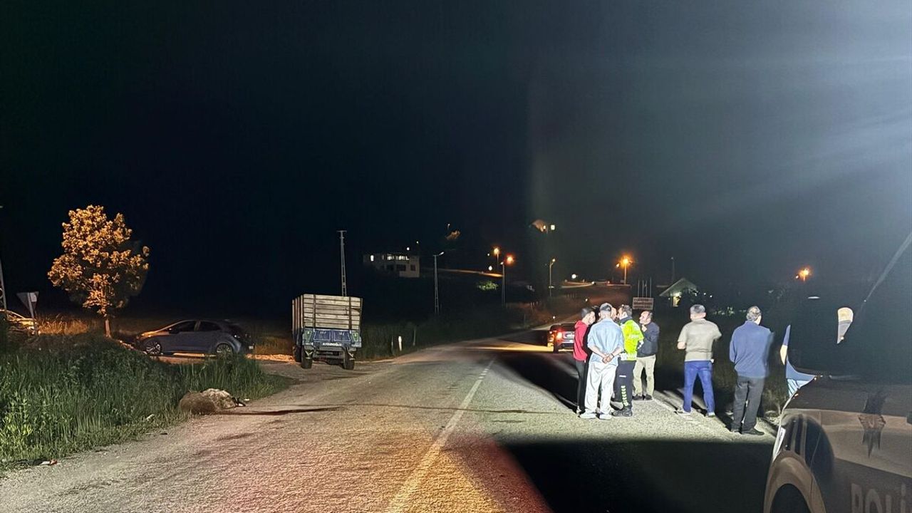 Niksar trafik kazasında otomobil koyun sürüsüne çarptı: 5 koyun telef oldu
