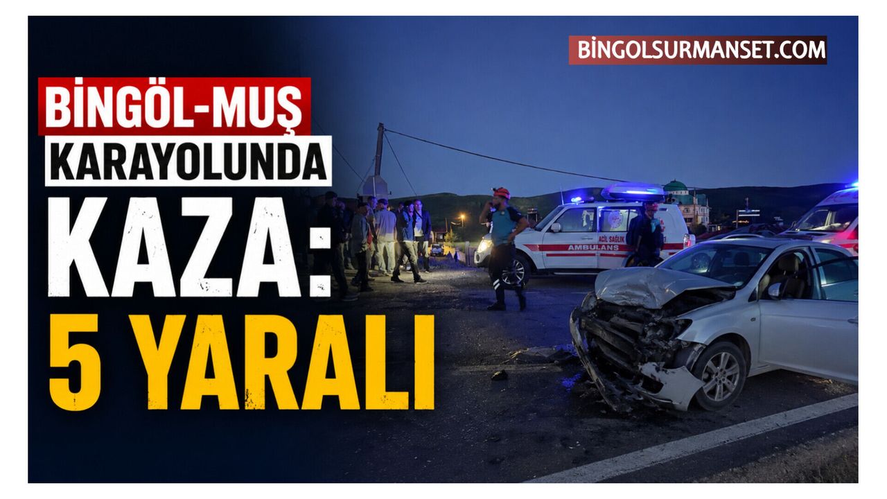 Bingöl-Muş Karayolunda Kaza: 5 Yaralı