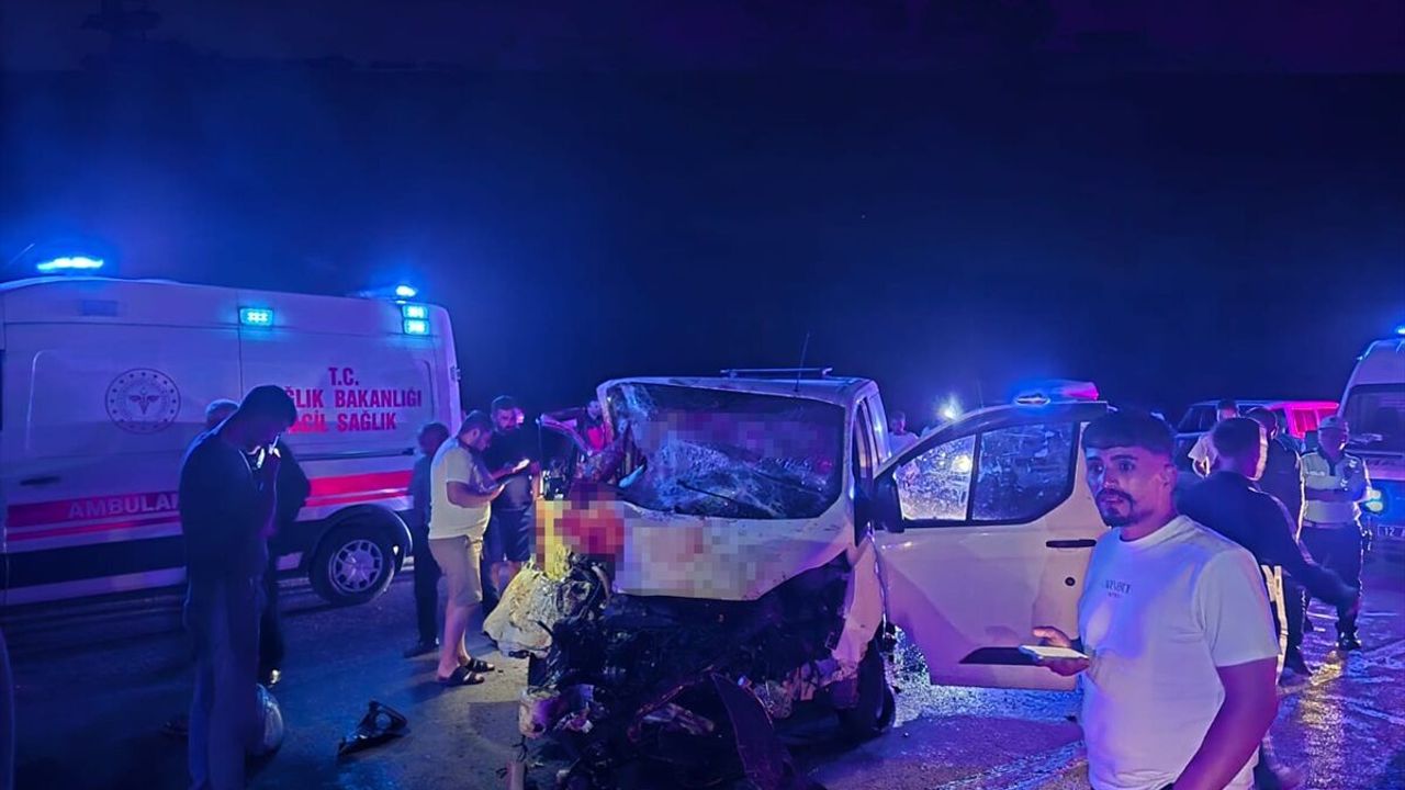 Bingöl'de feci trafik kazası: Araç ata çarptı, 1 ölü 2 yaralı