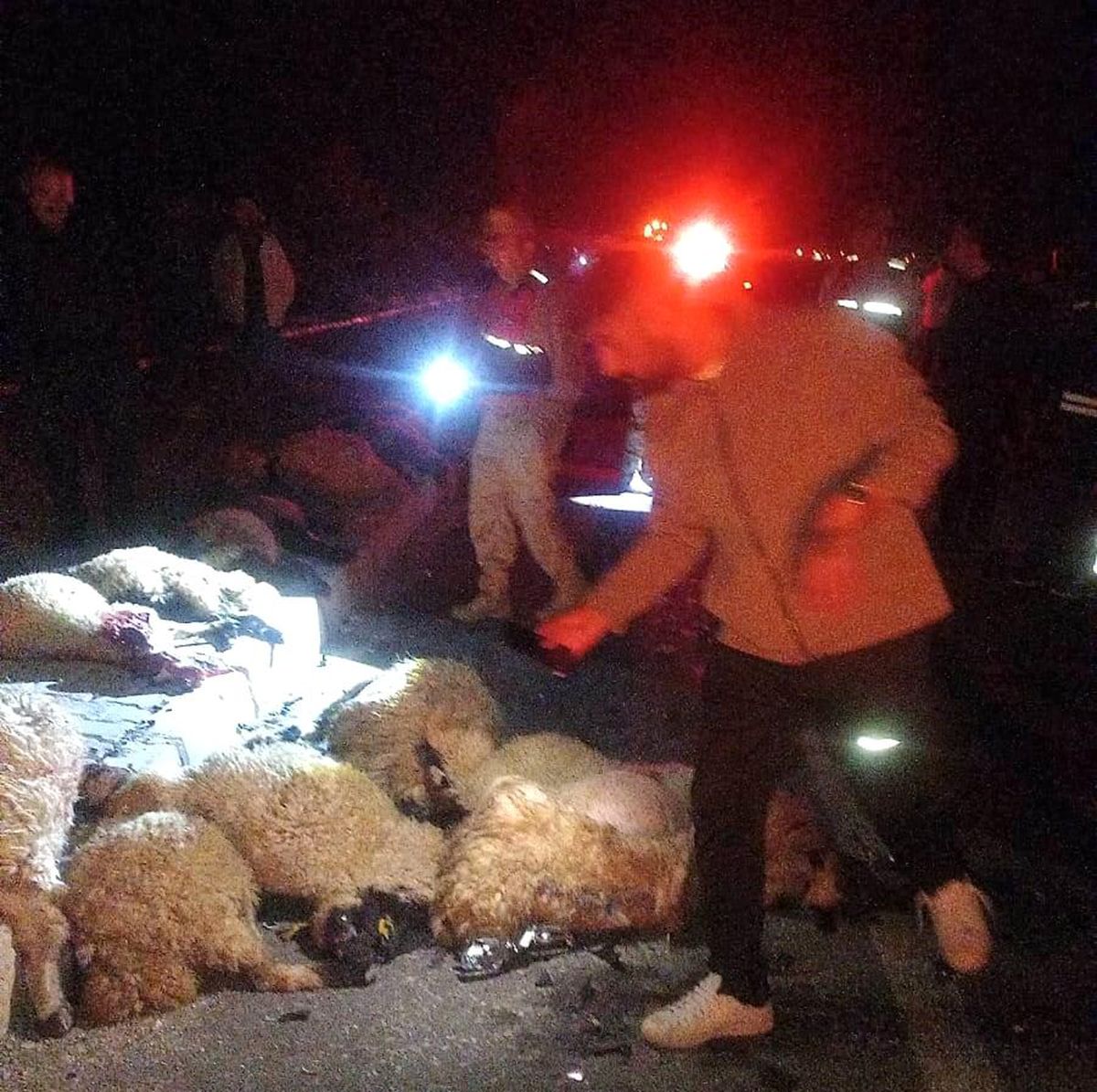 Van'da Trafik Kazası: 17 Koyun Telefi