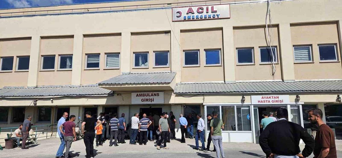 Muş'ta Trafik Kazası: 1 Ölü, 1 Yaralı