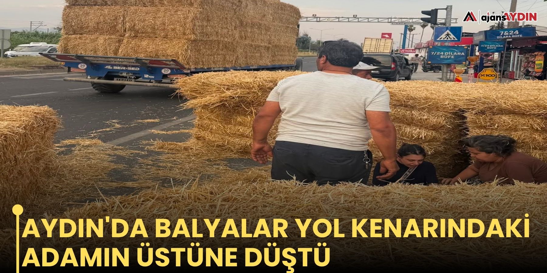 Aydın'da balyalar yol kenarındaki adamın üstüne düştü