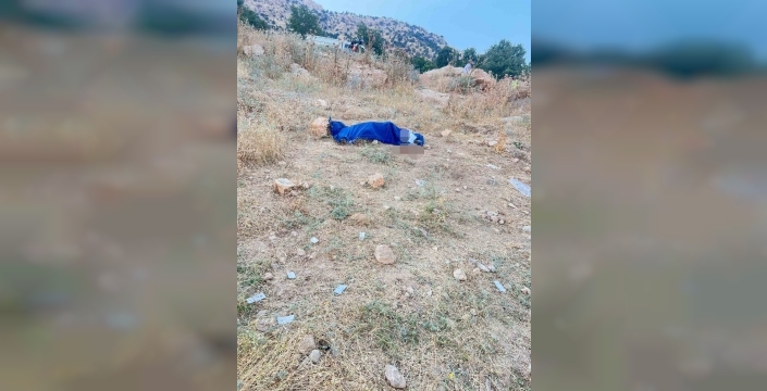 Cudi'den dönüş kabusu: 4 kaza, 1 can kaybı, 8 yaralı