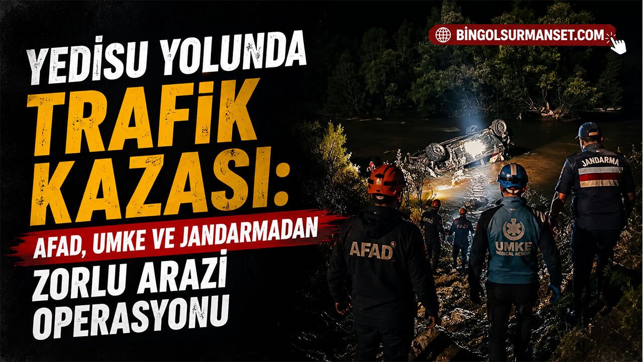Yedisu Yolunda Trafik Kazası: 1 Kişi Hayatını Kaybetti