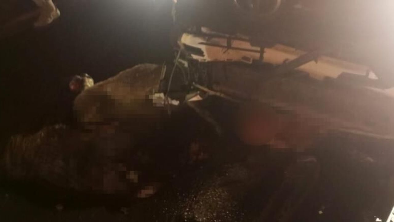 Diyarbakır'da trafik kazası 15 koyunun canına mal oldu